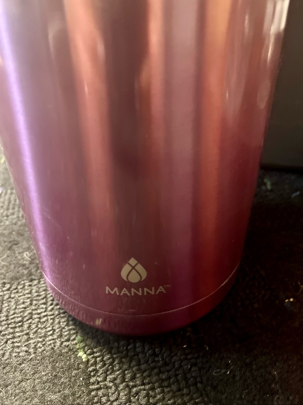 Anna Metallic Plum Ombre Stainless Steel Bottle